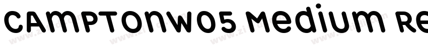 CamptonW05 Medium Re字体转换